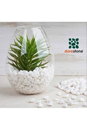 Beyaz Dolomit Taş 25 Kg 1-2 Cm Dere Çakıl Taşı Bahçe Peyzaj Süs Taşı Saksı Teraryum Akvaryum Taş