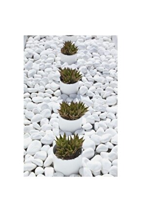 Beyaz Dolomit 50 Kg 4-6 Cm Taş Dekoratif Taş Dere Taşı Bahçe Süs Taşı