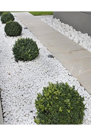 Dolomit Taş 25 Kg 2-4 Cm Beyaz Dolomit Taş Saksı Dibi Dekoratif Taş Bahçe Süsleme Taşı Peyzaj Taşı