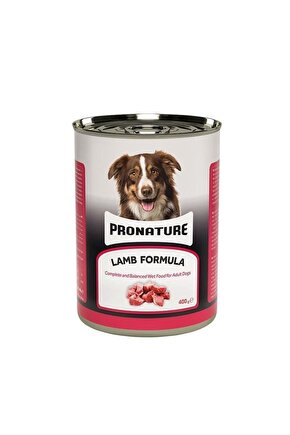 Kuzu Etli Parça Etli Yetişkin Köpek Konservesi 400 Gr - Petshopundan