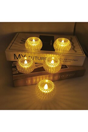 Pt-431 Led Mum