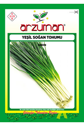 Yeşil Taze Soğan Tohumu