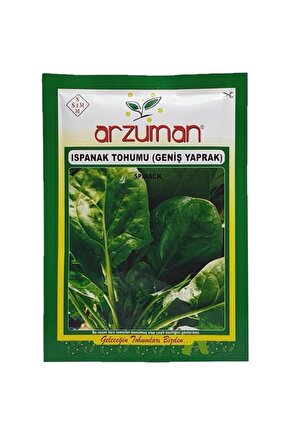 Matador İthal Ispanak Tohumu 25 g