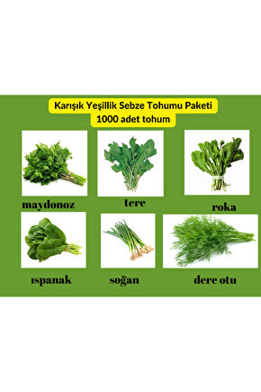 Yeşillik Sebze Tohum Paketi - 6 Çeşit Tohum Maydanoz, Tere, Roka, Dereotu ,soğan,ıspanak 1000 Adet