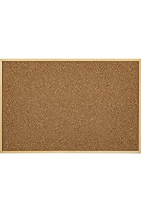512 Mantar Pano 60x90 Ahşap Çerçeve