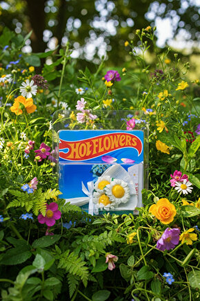 Hot Flowers Kır Çiçeği Temalı Minik Buket