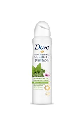 Deo.women Nourıshıng Secrets Dogma Matcha 150ml -6lı Paket