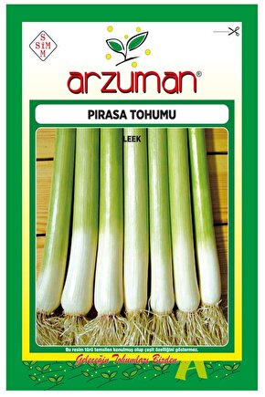 Pırasa Tohumu