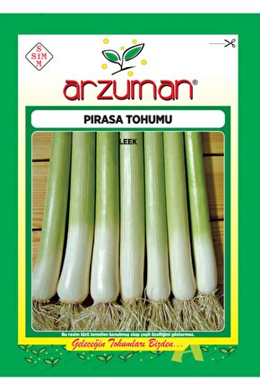 Pırasa Tohumu