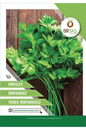 Maydonoz