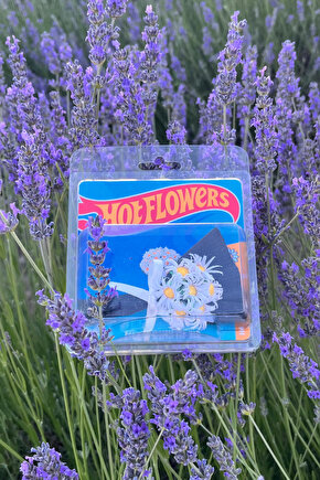 Hot Flowers Mini Papatya Buketi Love Flowers Özel Tasarım Koleksiyonluk Aksesuar