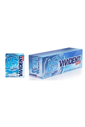 XYLIT 45 Dakika Nane Aromalı Şekersiz Sakız 33 g x 18 Adet