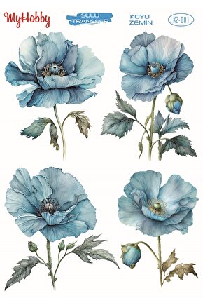 Koyu Zemin Sulu Transfer KZ-001 25x35c