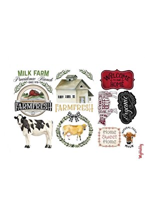 Sulu Transfer Kağıdı Lnt-63 25x35 Cm