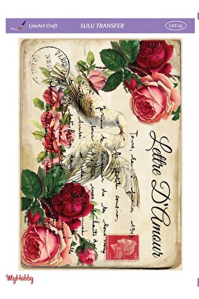 Sulu Transfer Lnt45 25x35cm