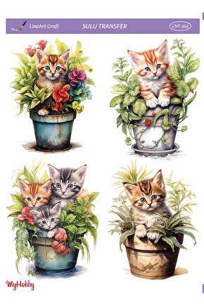 Lineart Sulu Transfer Lnt303 25x35cm