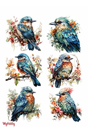 Sulu Transfer Kağıdı Lnt-227 25x35 Cm