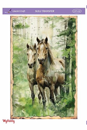 Lineart Sulu Transfer LNT219 25x35cm