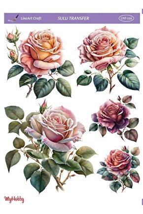 Vintage, Gül Desenli Sulu Transfer Lnt-116 25x35