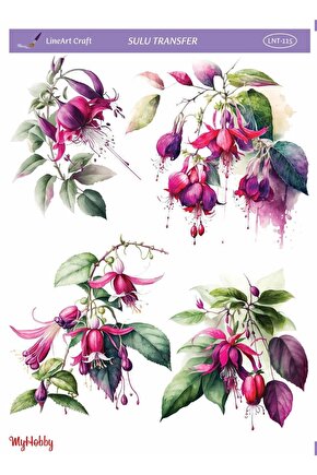 Sulu Transfer Lnt-115 25x35cm