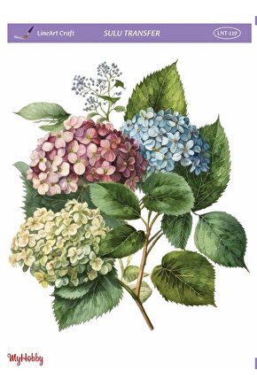 Sulu Transfer Lnt-119 25x35cm