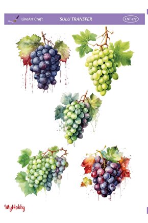 Sulu Transfer LNT277  25x35cm