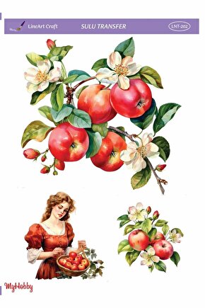 Lineart Sulu Transfer LNT202 25x35cm