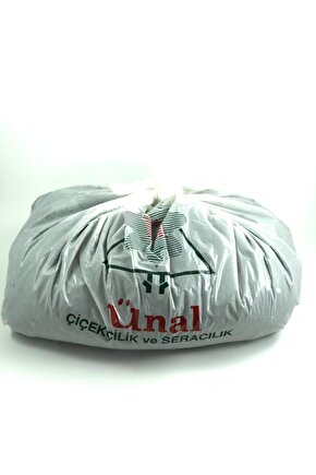 Kaktüs Ve Sukulent Toprağı