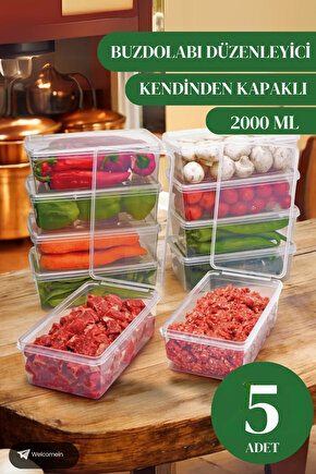 5 Adet 2lt. Kendinden Kapaklı Derin Dondurucuya Uygun Saklama Kabı Düzenleyici (2000 ML)