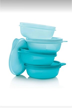 Saklama ve Servis Kabı 4lü Set 300 mL