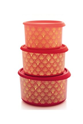 Parıltı Set 3lü Kırmızı Tek Parmak Saklama Kabı Hsgl