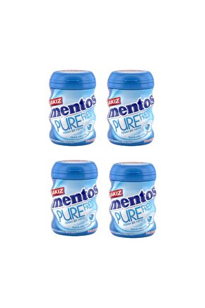 Pure Fresh Nane Aromalı Şekersiz Draje Sakız 60 g x 4 Adet