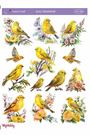 Lineart Sulu Transfer LNT188 25x35cm