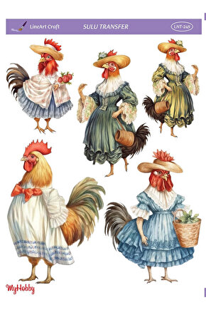 SULU TRANSFER LNT249