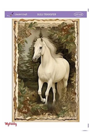 Lineart Sulu Transfer LNT218 25x35cm