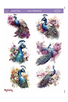 Lineart Sulu Transfer LNT214 25x35cm