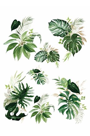 Sulu Transfer Kağıdı Lnt122 25x35 Cm