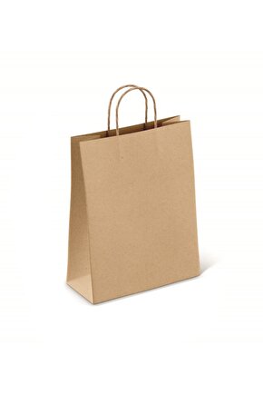 20x10x22 Cm Baskısız Kraft Kağıt Poşet 100lük Paket