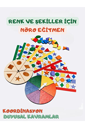 NöroSimülator, Renkler ve Şekiller, Eğlenceli Koordinasyon Oyunu, Eğitici Duyusal Oyuncak