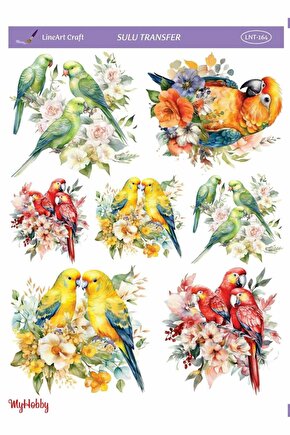 Lineart Sulu Transfer LNT164 25x35cm