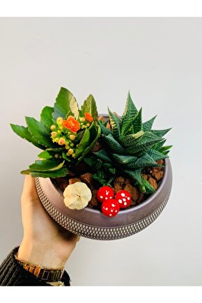 Ayaklı Saksıda Aranjman