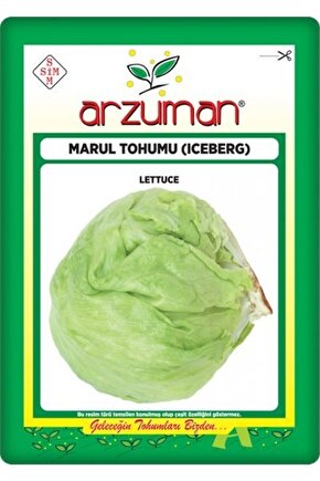 Iceberg Marul Tohumu (5 Gr) Göbekli Marul
