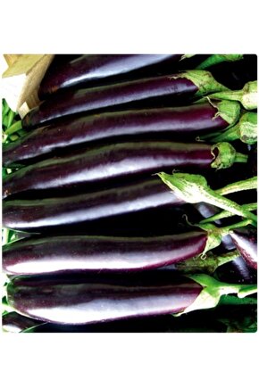 Aydın Siyahı Patlıcan Tohumu 10 gr