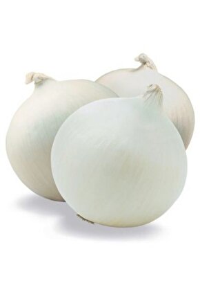 Beyaz Soğan Tohumu 1500 Adet