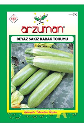 Beyaz Sakız Kabak Tohumu 10 Gr