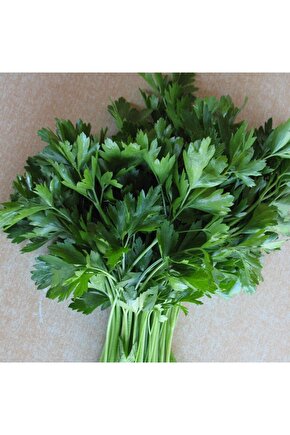 Maydonoz 25 Gram Tohum