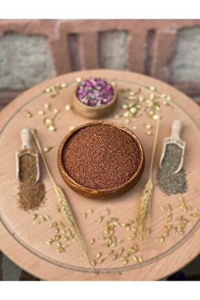 Tere Tohumu (AÇIK TOHUM) - 25 gr