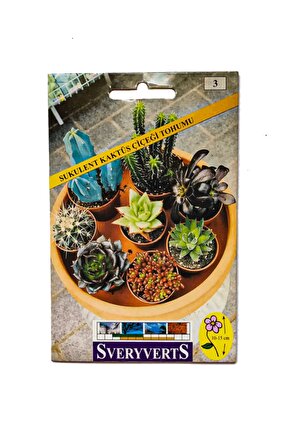 Birinci Kalite Sukulent Kaktüs Çiçeği Tohumu