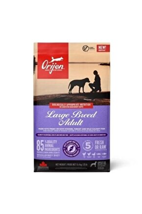 Large Breed Dog Tavuklu Büyük Irk Yetişkin Köpek Maması 11.4 Kg