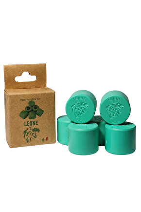 SYM GTS 250i Evo 250cc Leone Performans Bagası